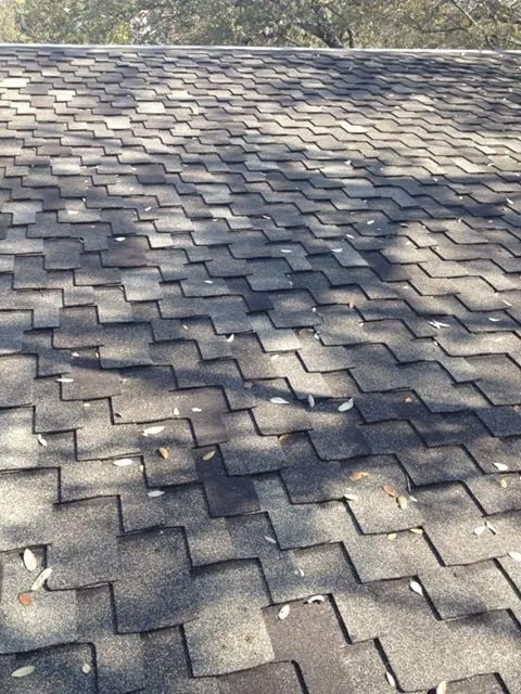 Slide of Roofer Chicks