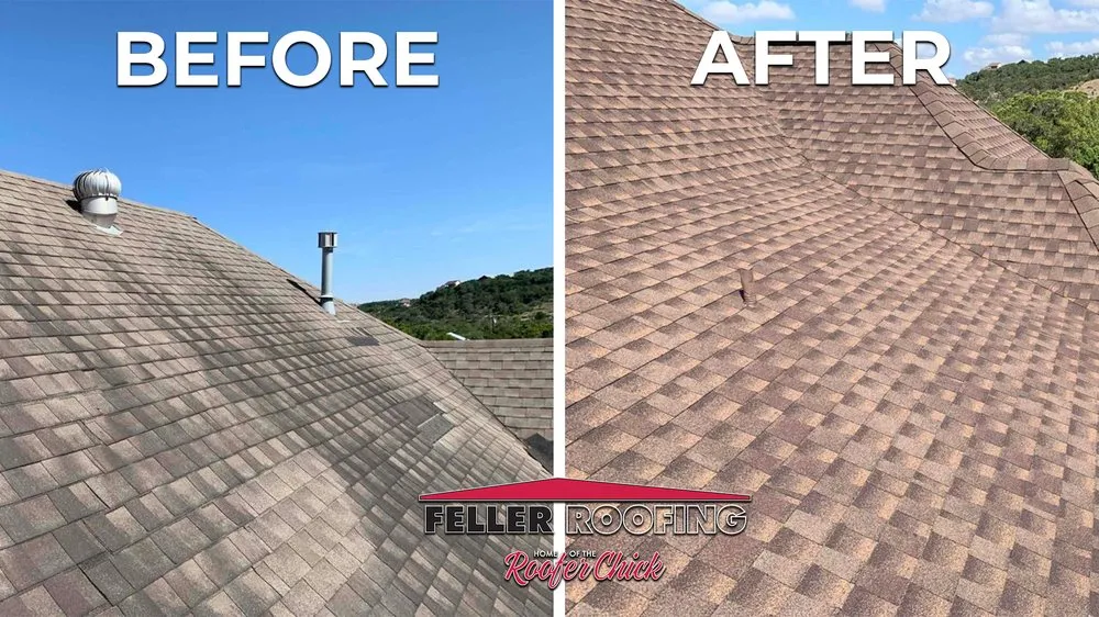 Slide of Roofer Chicks