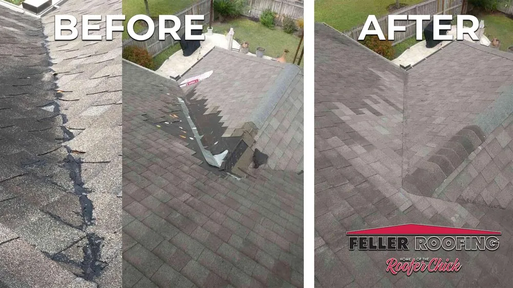 Slide of Roofer Chicks