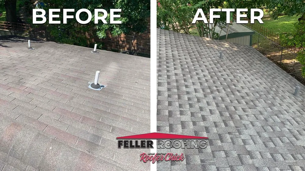 Slide of Roofer Chicks