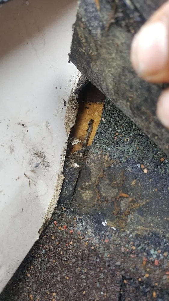 Slide of Roofing & Restoration Services of America