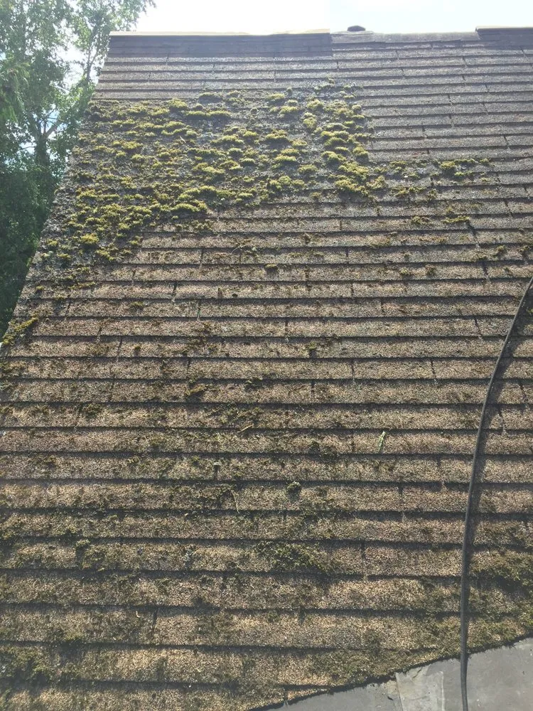 Slide of Roofing and maintenance