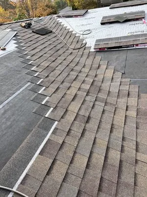Roofing and Repairs