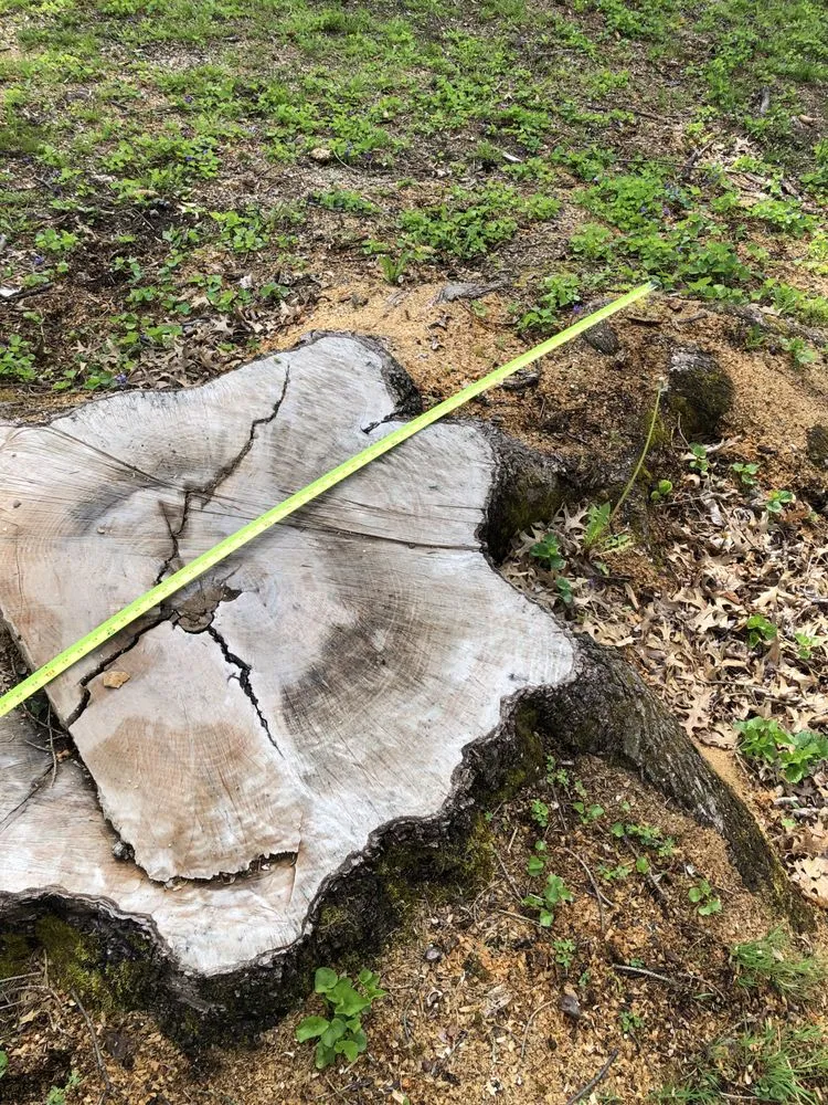 Slide of Roofing and tree service pros