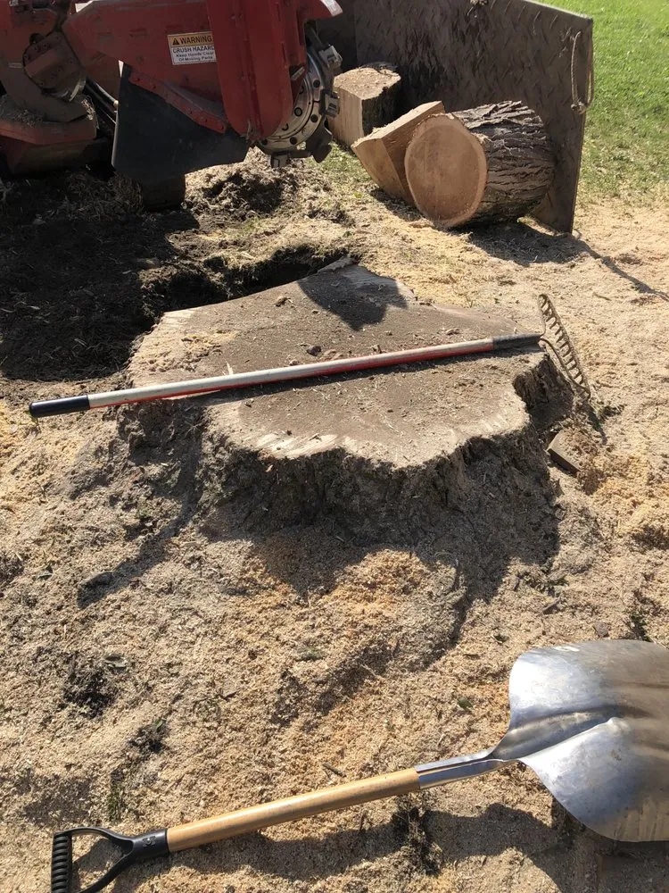 Slide of Roofing and tree service pros