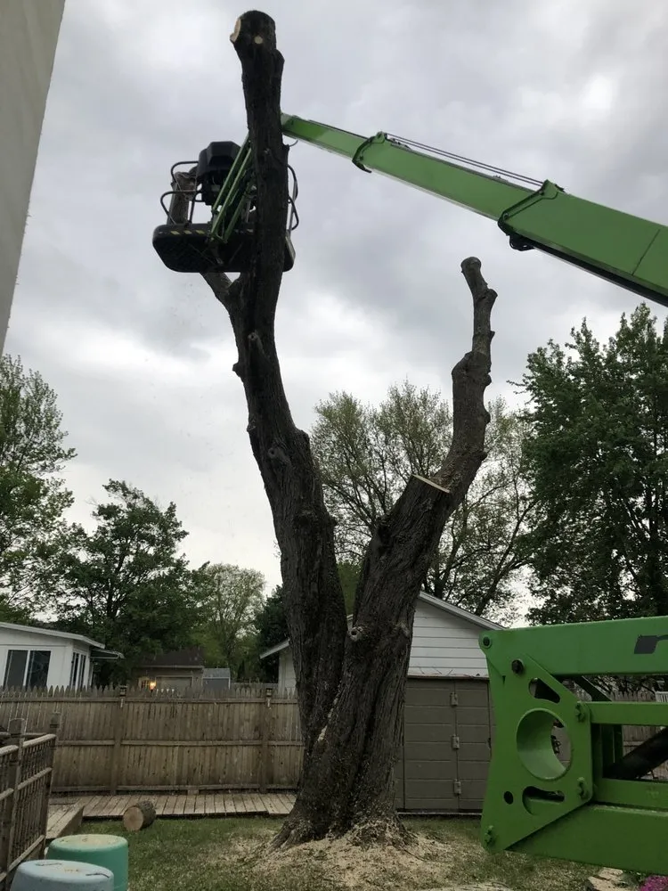 Slide of Roofing and tree service pros