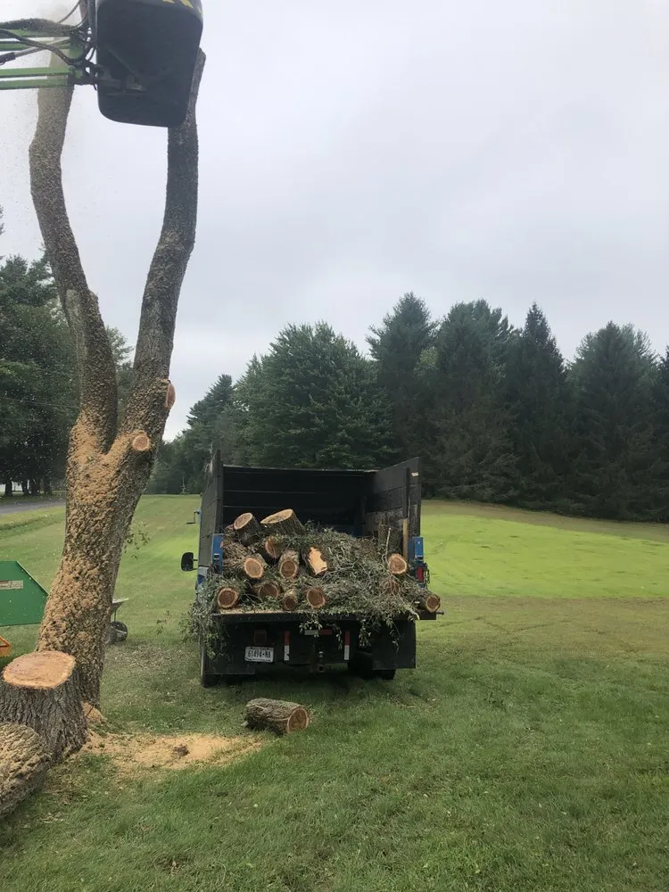 Slide of Roofing and tree service pros