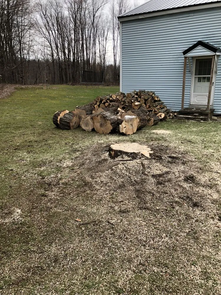 Slide of Roofing and tree service pros