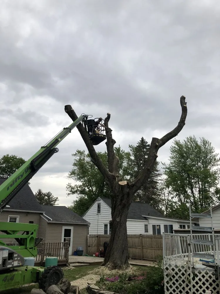 Slide of Roofing and tree service pros