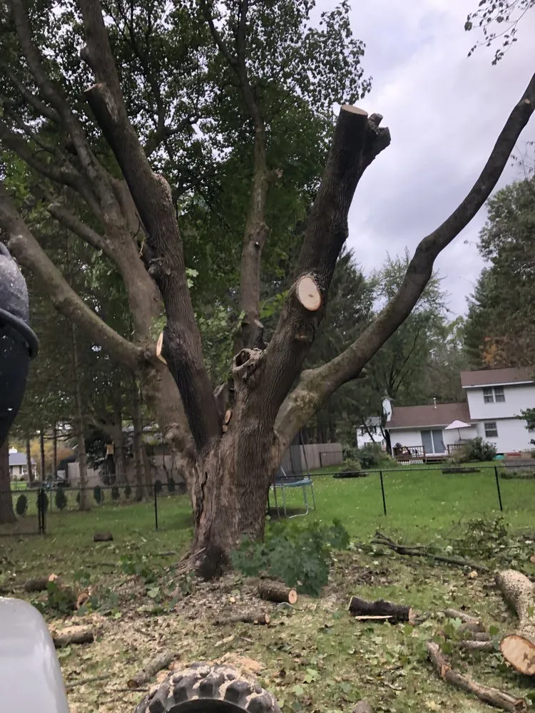 Slide of Roofing and tree service pros