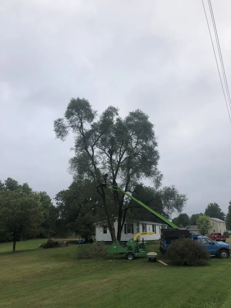 Slide of Roofing and tree service pros