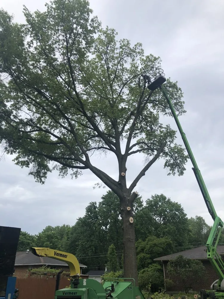 Slide of Roofing and tree service pros
