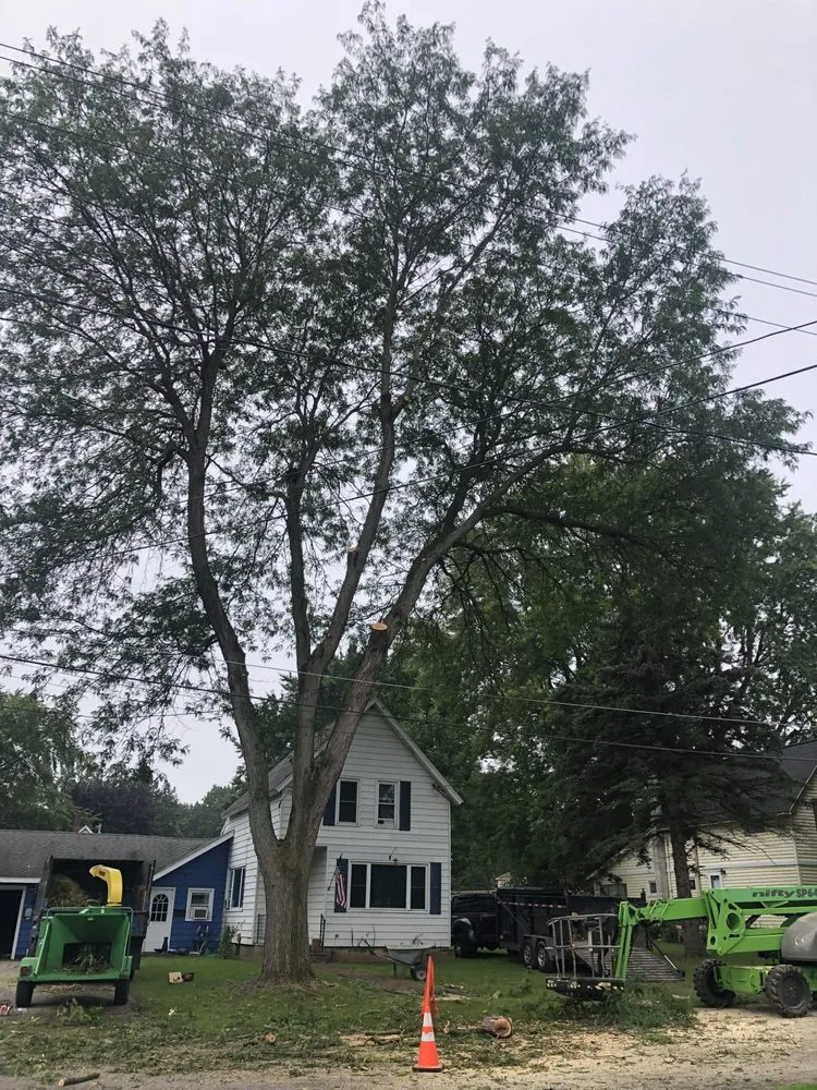 Slide of Roofing and tree service pros