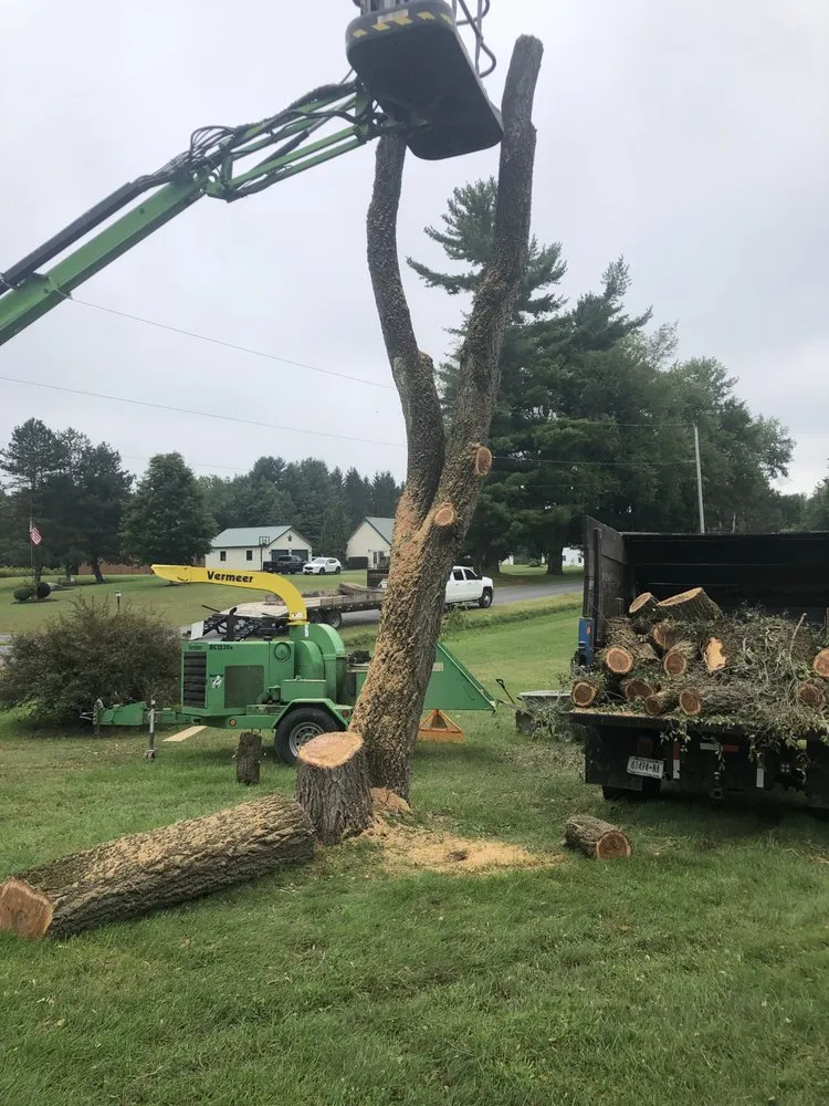 Slide of Roofing and tree service pros