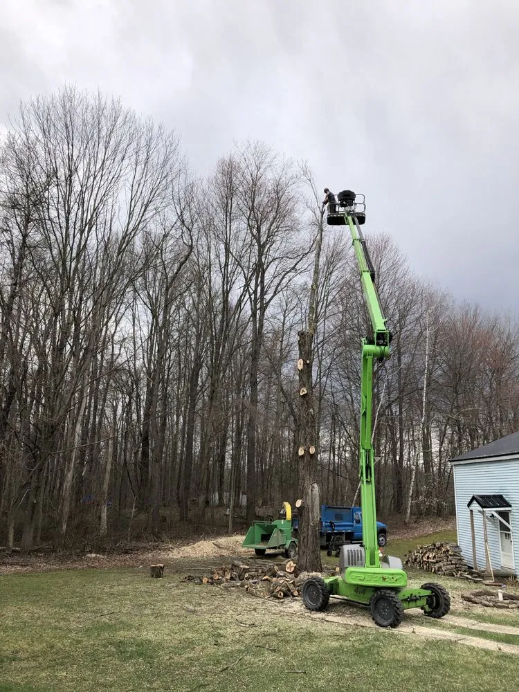 Slide of Roofing and tree service pros