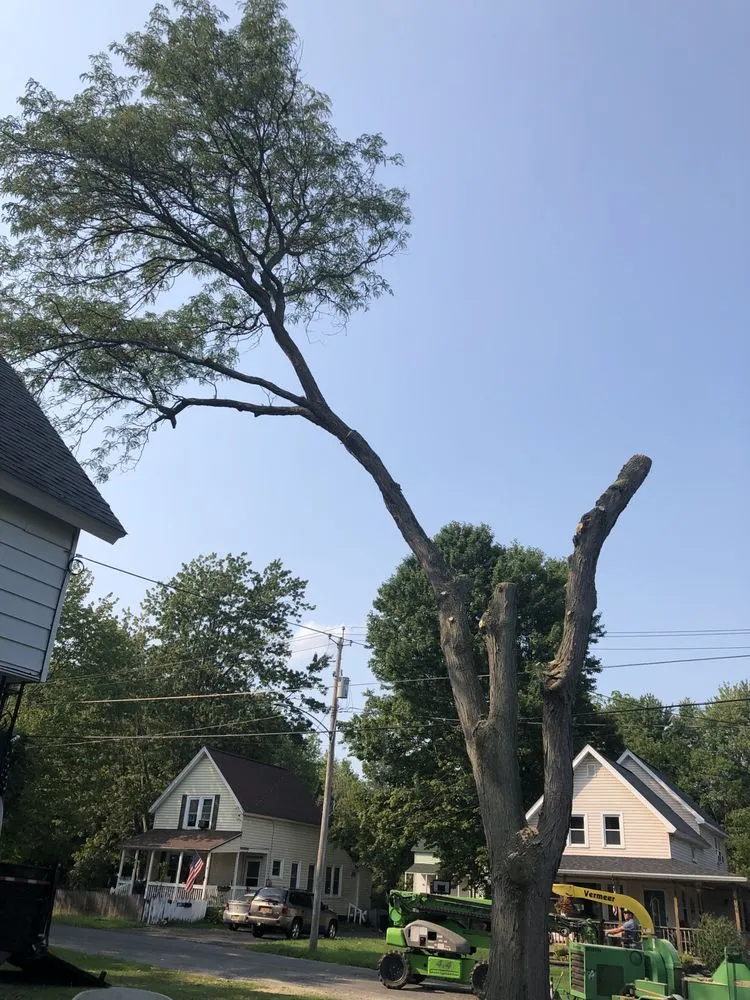 Slide of Roofing and tree service pros