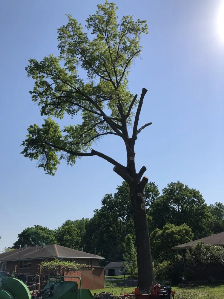 Slide of Roofing and tree service pros