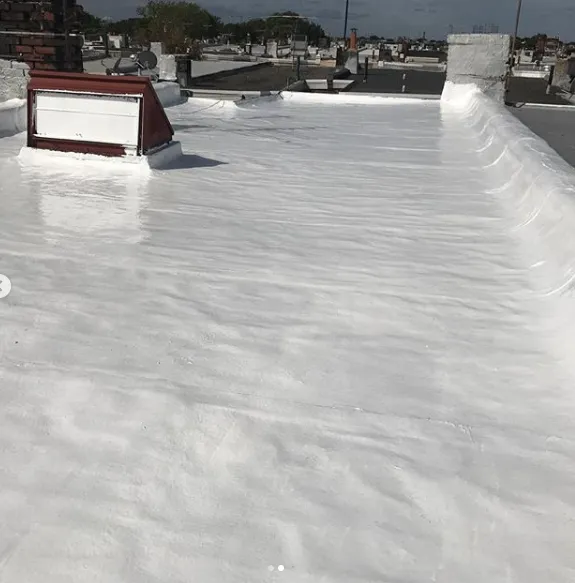 Slide of Roofing by Gerald Roffo