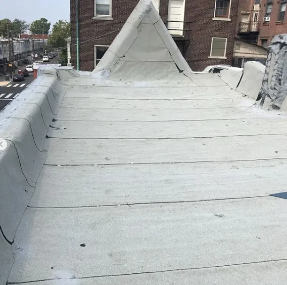 Slide of Roofing by Gerald Roffo