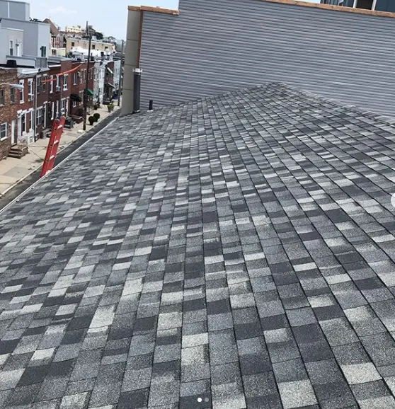 Slide of Roofing by Gerald Roffo