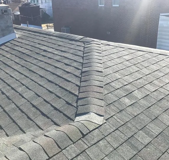 Slide of Roofing by Gerald Roffo