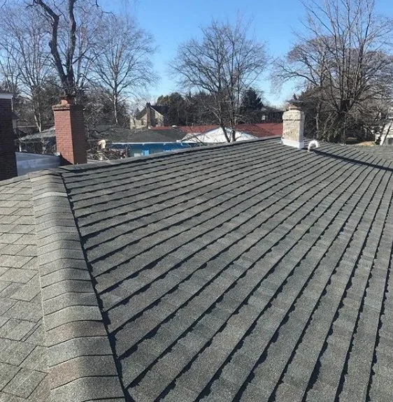 Slide of Roofing by Gerald Roffo