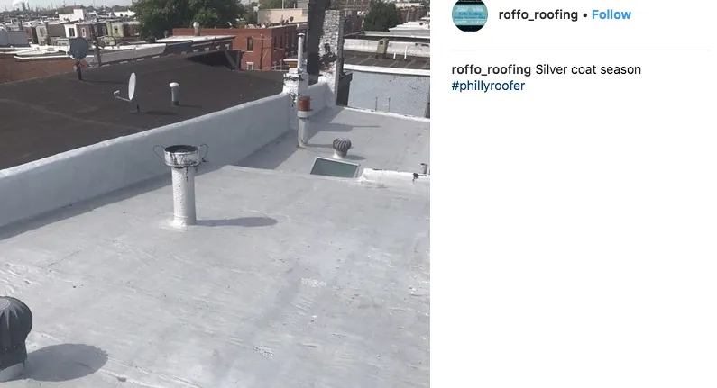 Slide of Roofing by Gerald Roffo