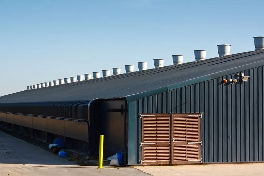 Slide of Roofing Corpus Christi