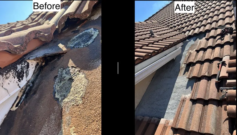 Slide of Roofing experts & Maintenance