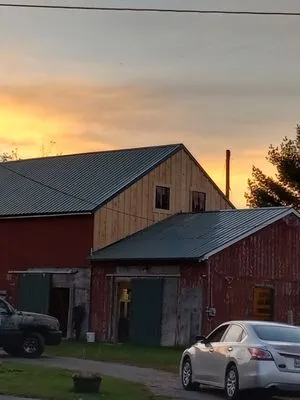 Roofing Leprechaun Logo