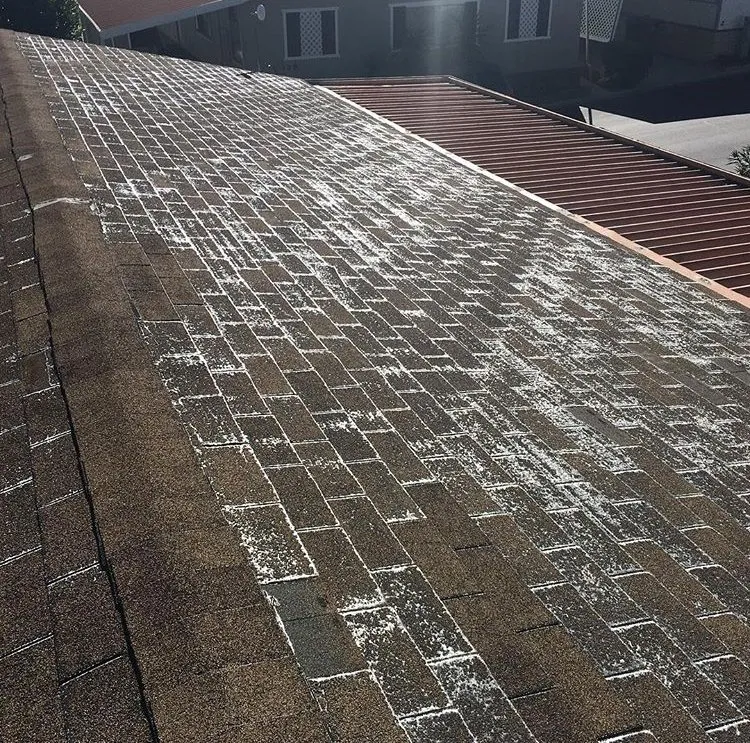 Slide of Roofing Paso Robles