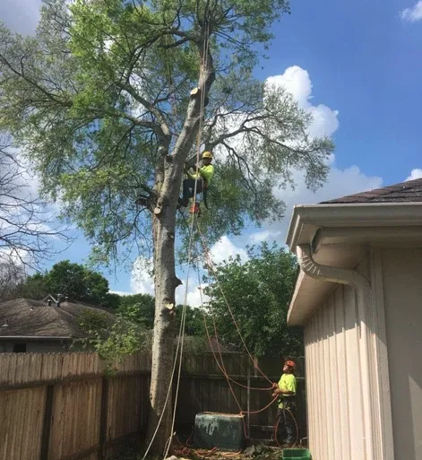 Slide of Roofing Patrol