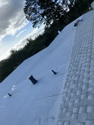 Roofing Pro Construction