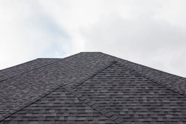 Roofing Pros