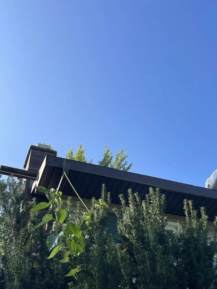 Slide of Roofing Recovery