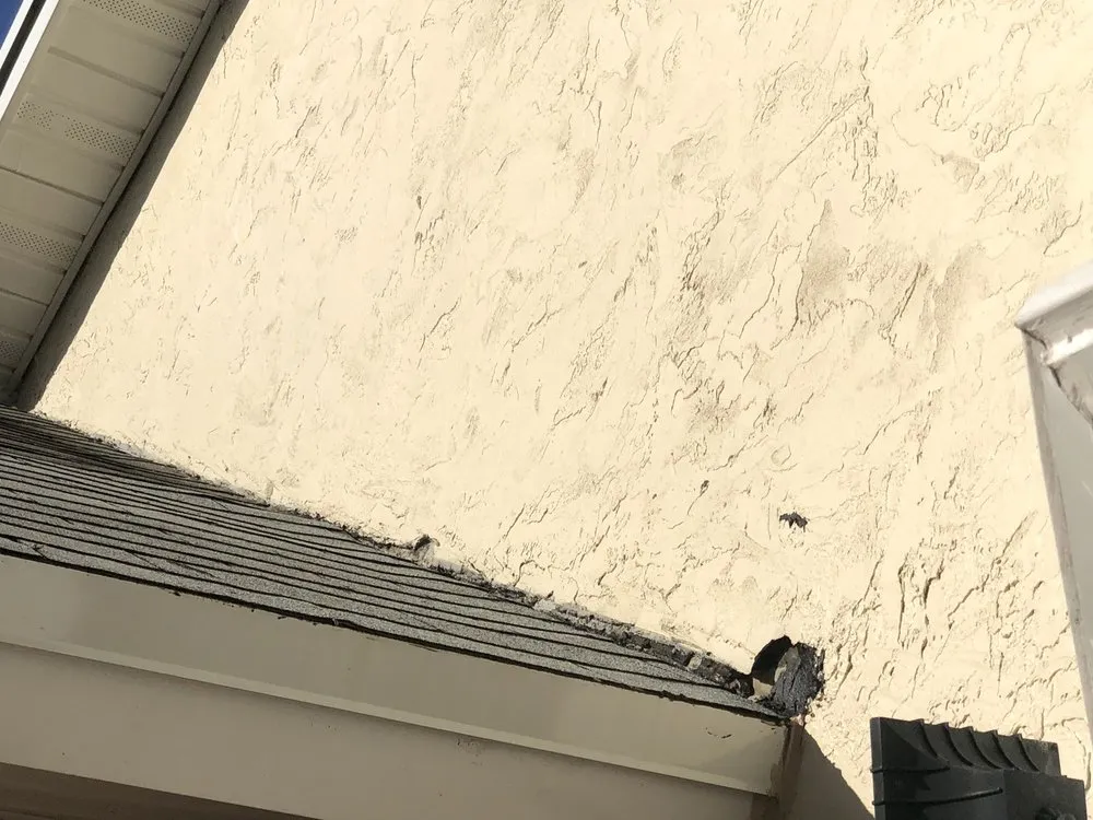 Slide of Roofing Recovery