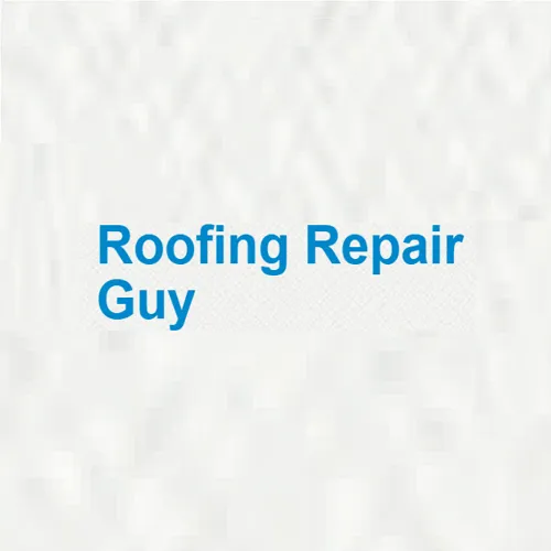Slide of Roofing Repair Guy Lansing