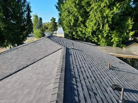 Slide of Roofing Repair Installation Techumbre