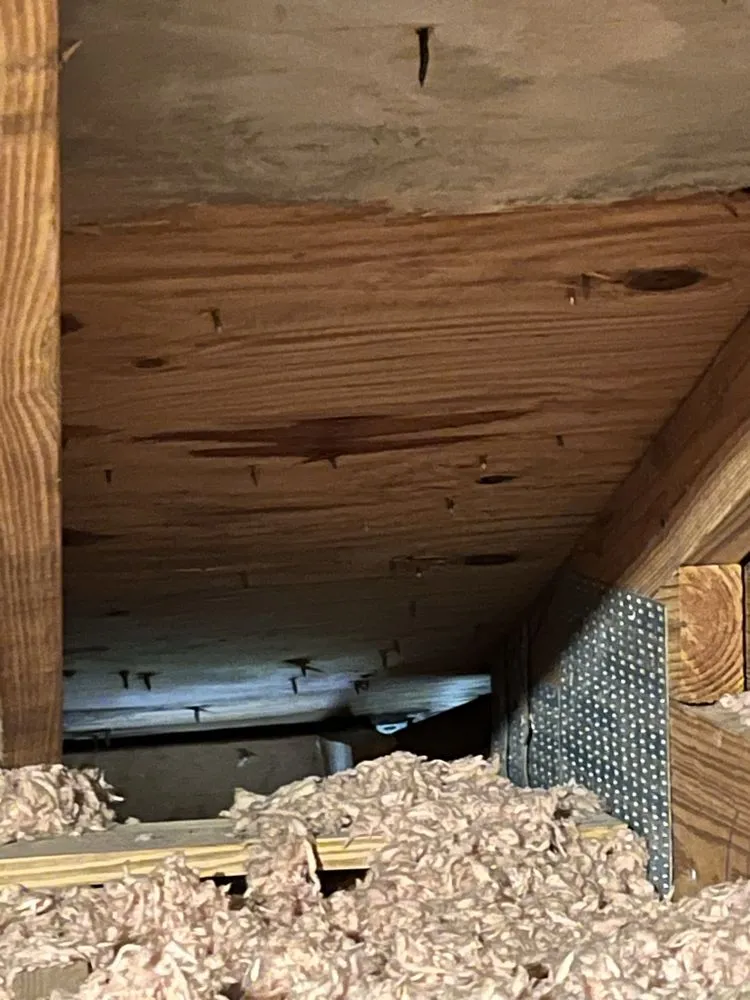 Slide of Roofing Repairs and More