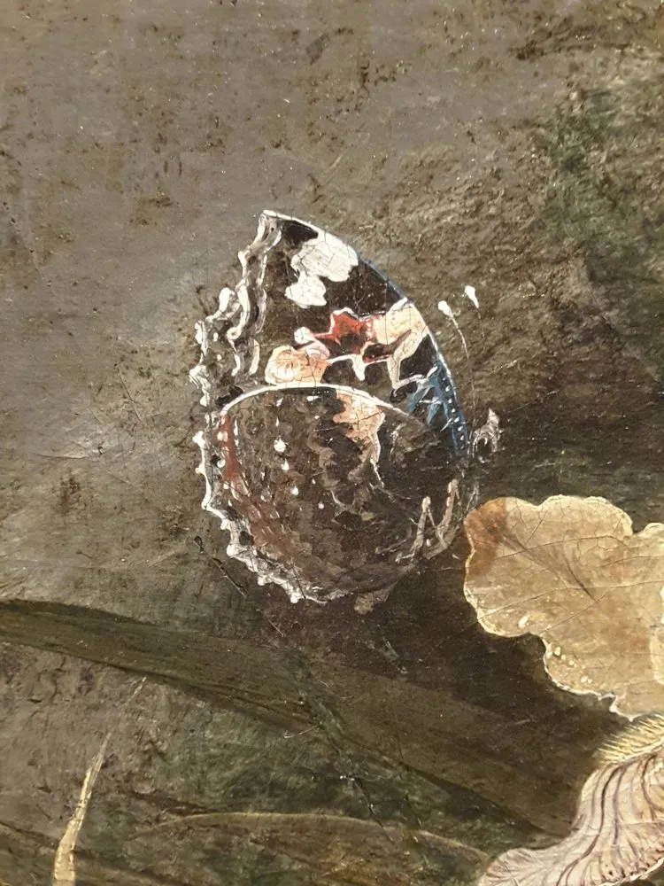 Slide of Roofing Solutions of Tampa