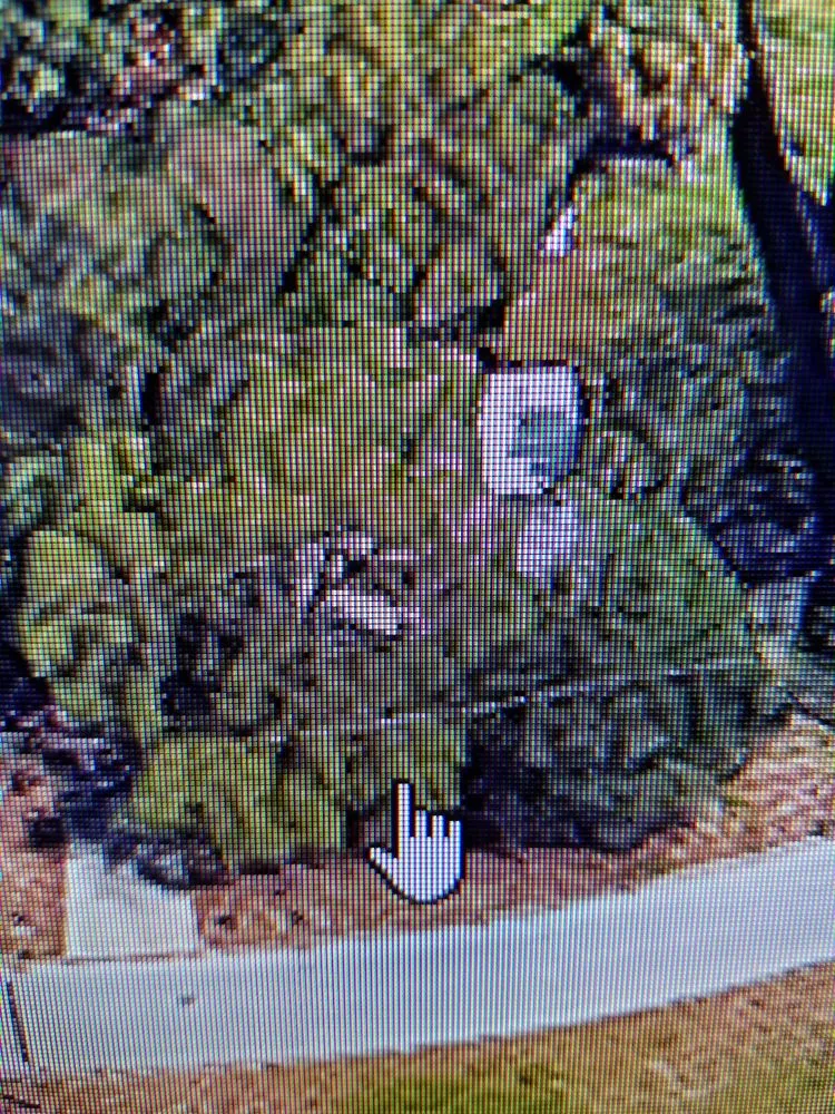 Slide of Roofing Solutions of Tampa