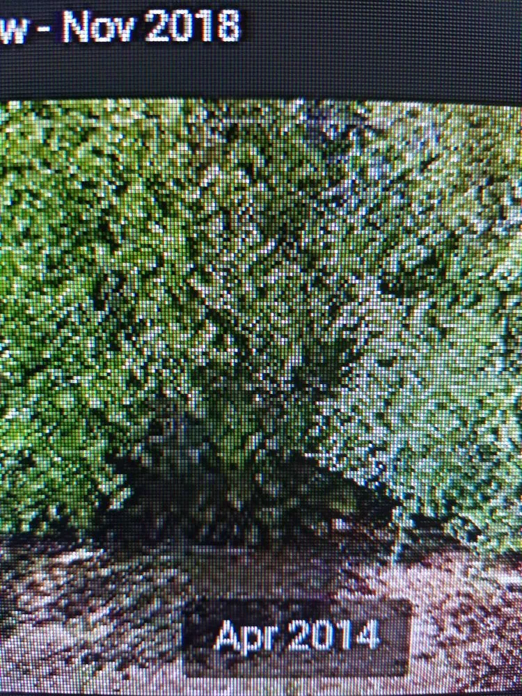 Slide of Roofing Solutions of Tampa