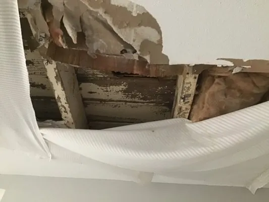 Roofing Solutions of Tampa