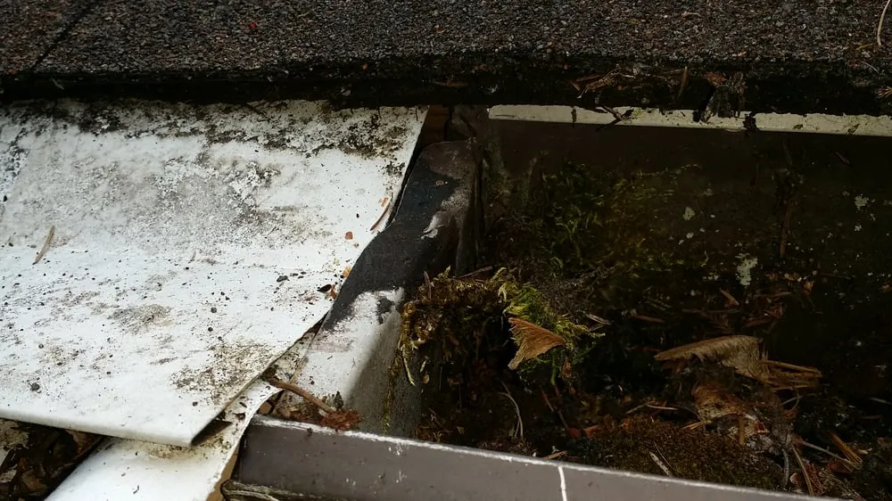 Slide of Roofing Specialists Northwest