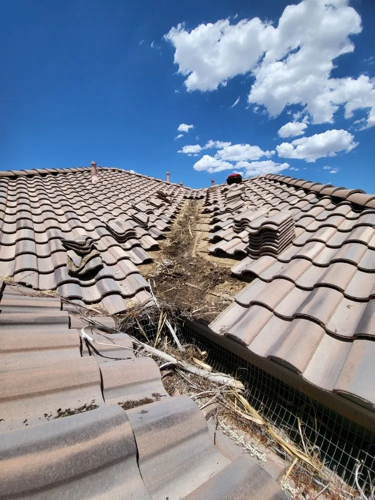 Slide of Roofing Troops