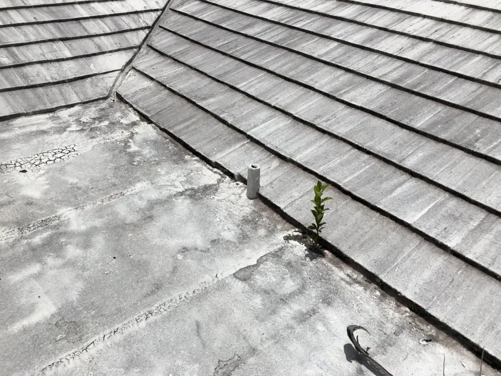 Slide of Roofing Zulutions