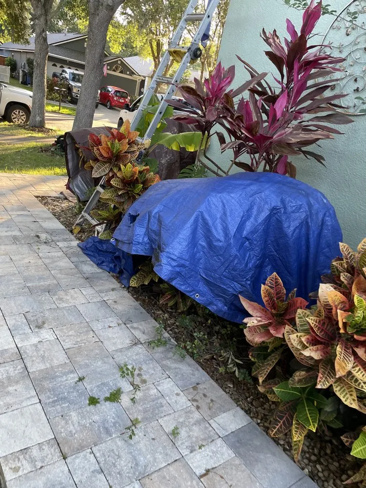 Slide of Roofings Best Choice