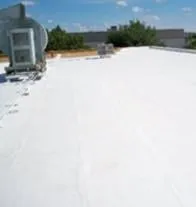 Slide of Roofliner