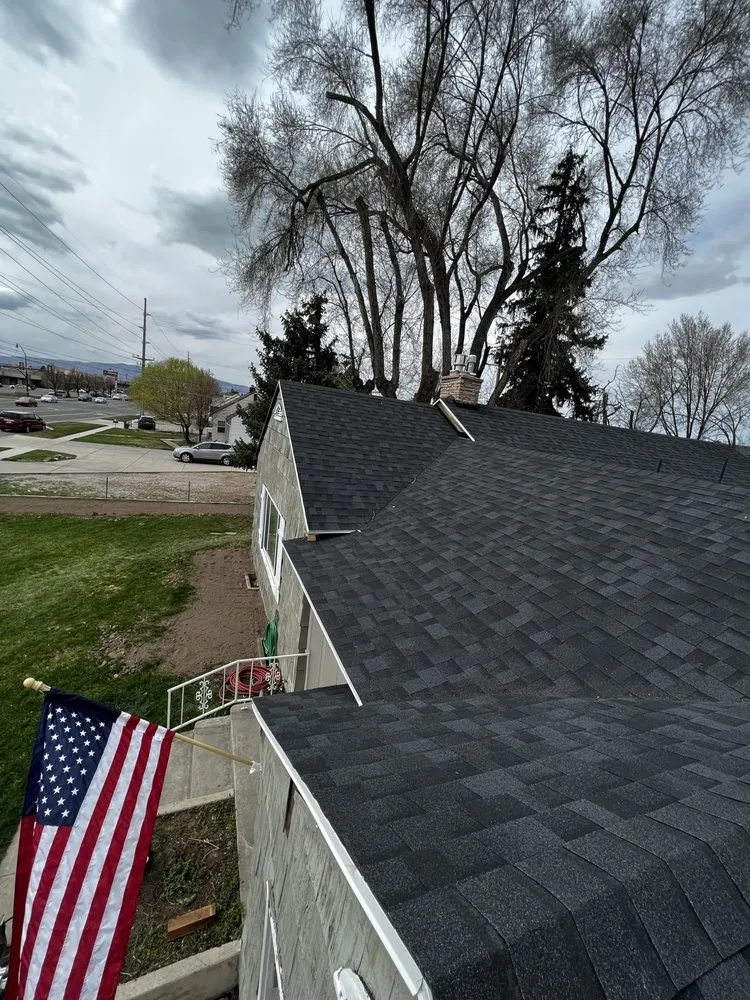 Slide of Roofly