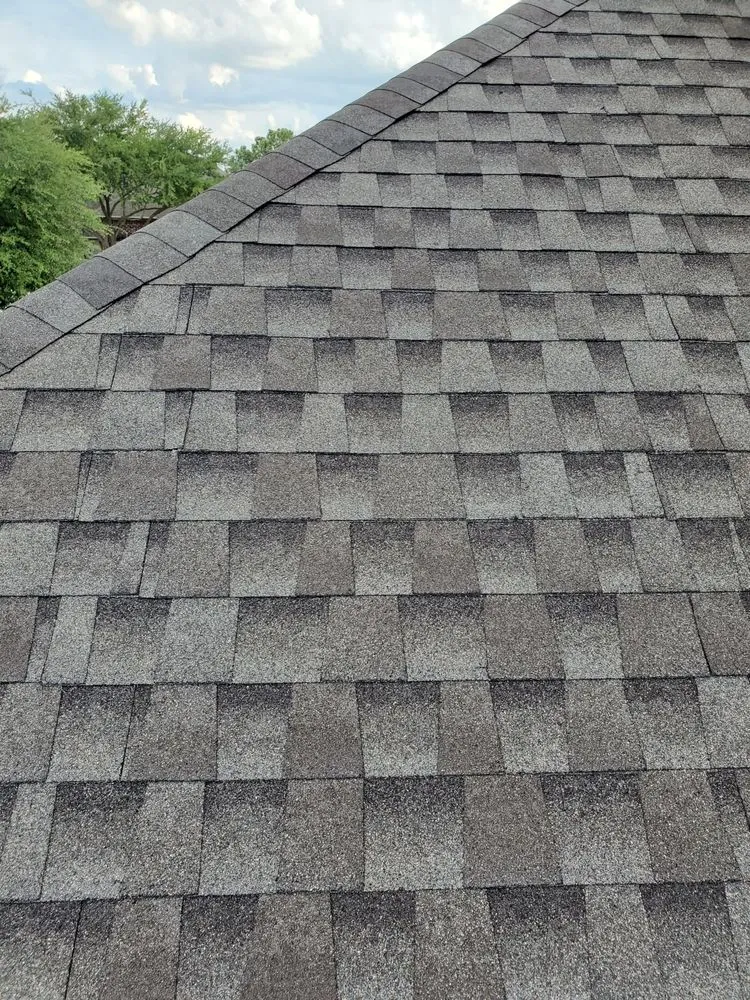 Slide of Roofs & Siding by Robert Behn